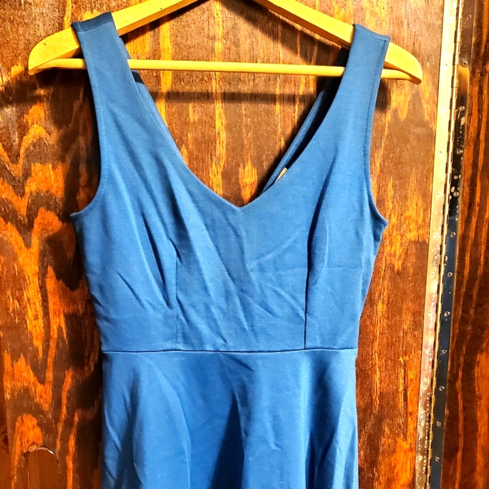 Black Swan - Small Blue Dress